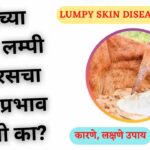 Lumy skin virus
